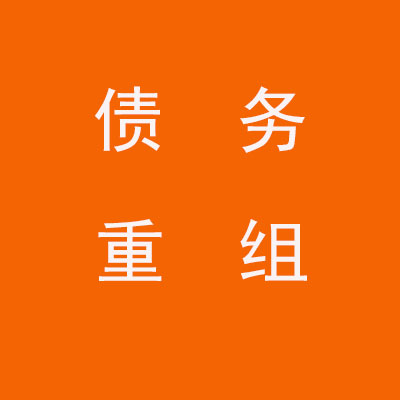蒙山个人债务重组优化